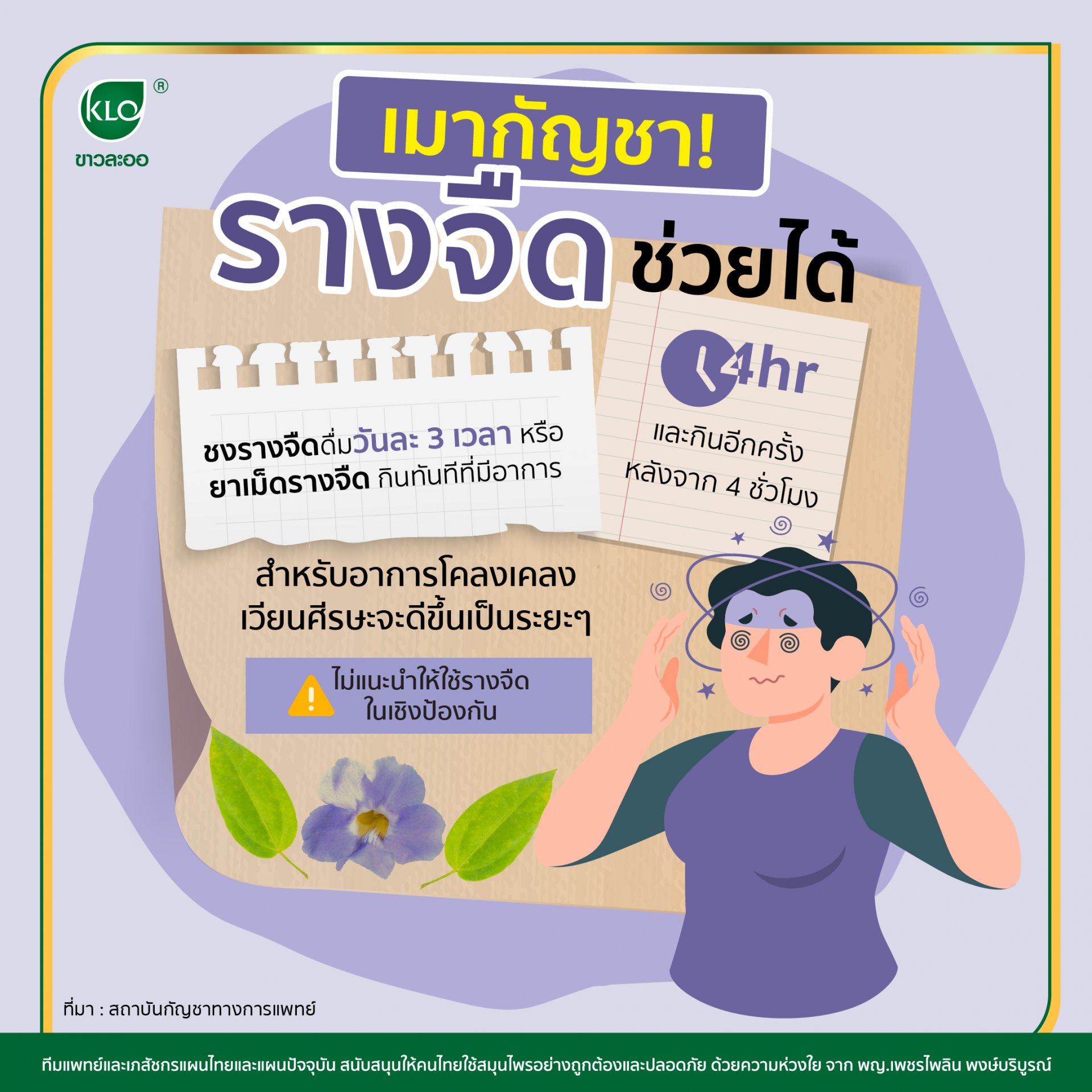 Drunk with marijuana! Thunbergia laurifolia can help Drunk with marijuana! Thunbergia laurifolia can help