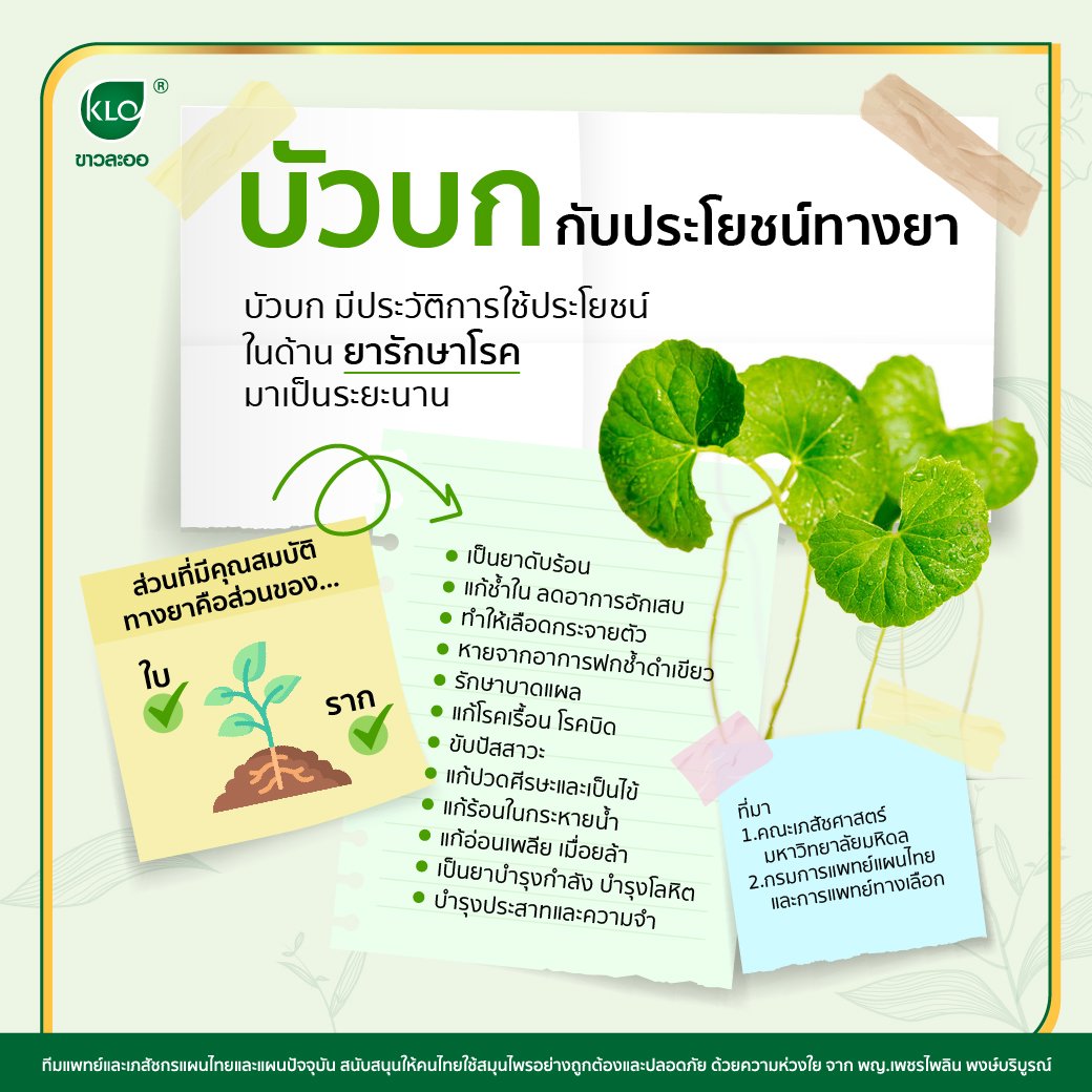 Gotu Kola and its medicinal benefits Gotu Kola and its medicinal benefits