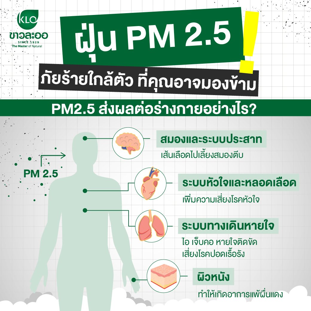 ฝุ่น PM2.5 ภัยร้ายใกล้ตัว ที่คุณอาจมองข้าม! ฝุ่น PM2.5 ภัยร้ายใกล้ตัว ที่คุณอาจมองข้าม!