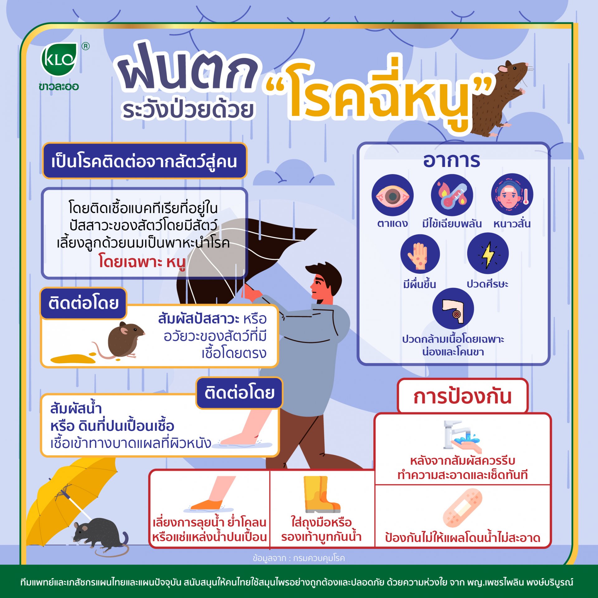 It's raining. Be careful to get sick with "leptospirosis" It's raining. Be careful to get sick with "leptospirosis"