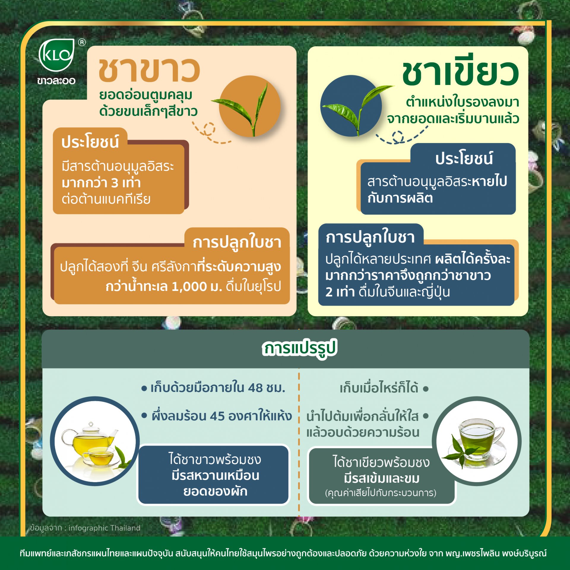 White tea, Green tea White tea, Green tea