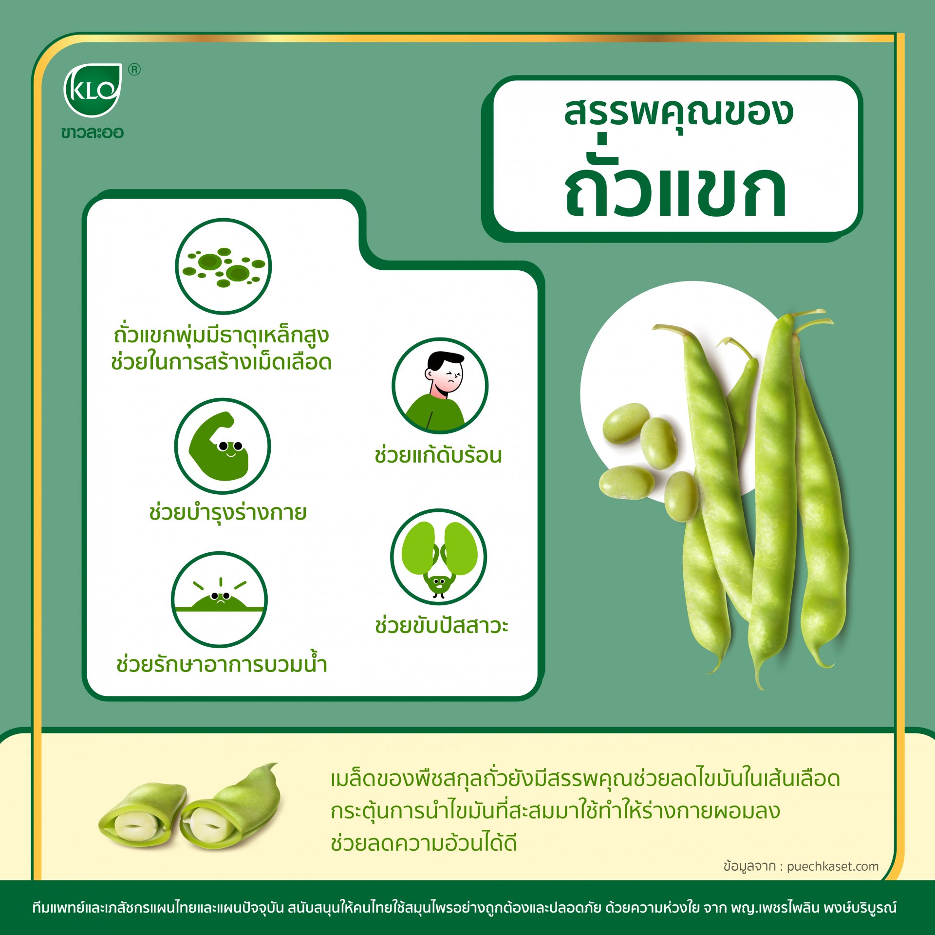 Properties of green beans Properties of green beans