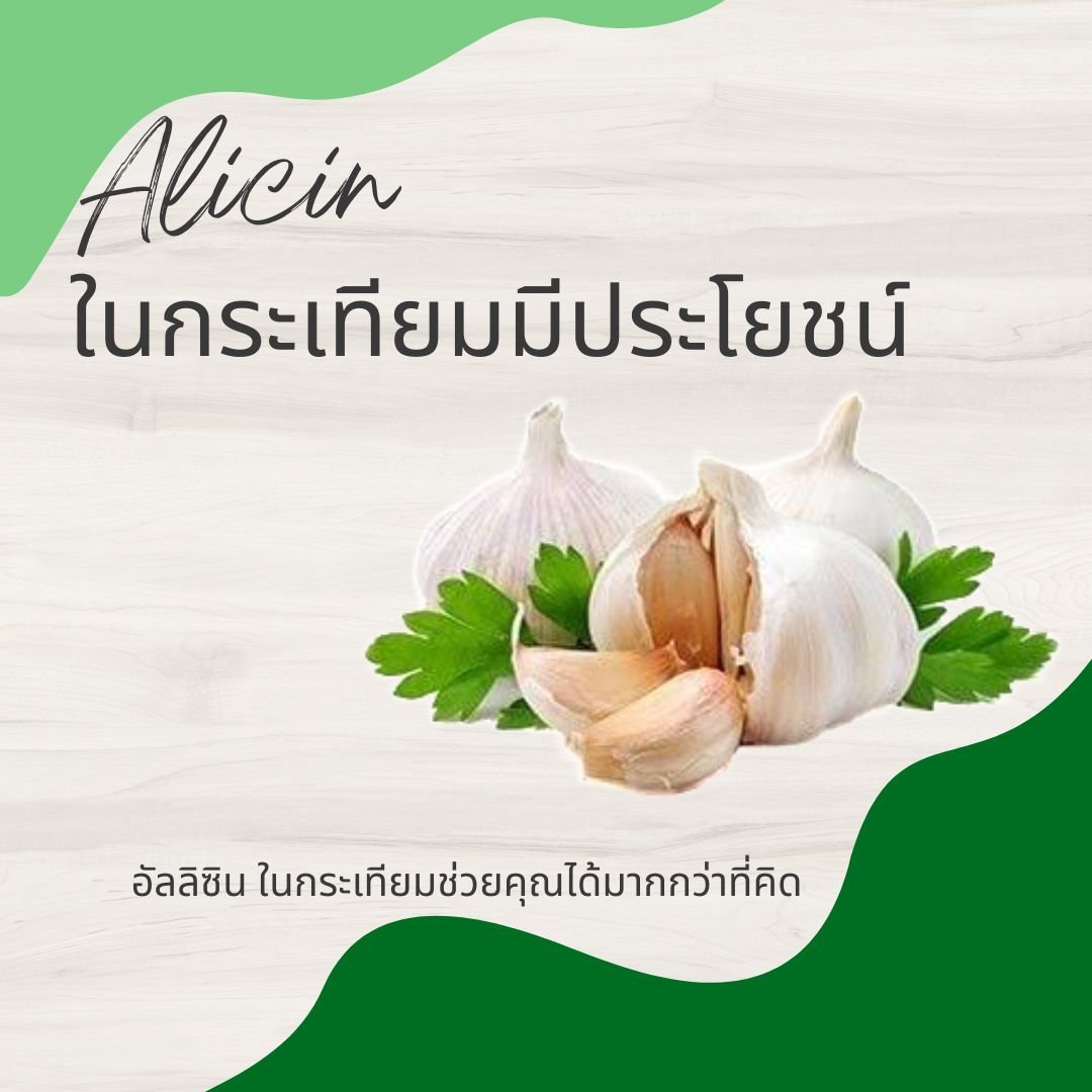 5 เหตุผลที่ควรกินกระเทียม 5 เหตุผลที่ควรกินกระเทียม