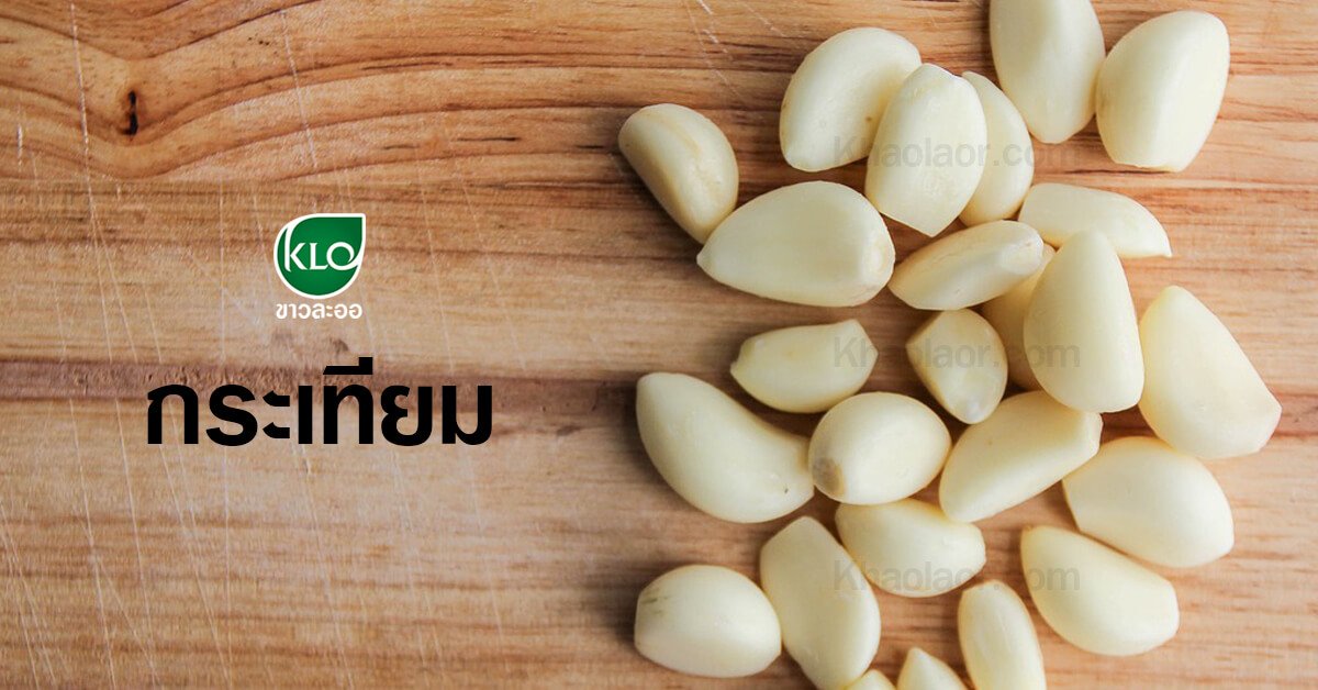 Garlic (Homemade: Issue 35: March 16, 2000) Garlic (Homemade: Issue 35: March 16, 2000)