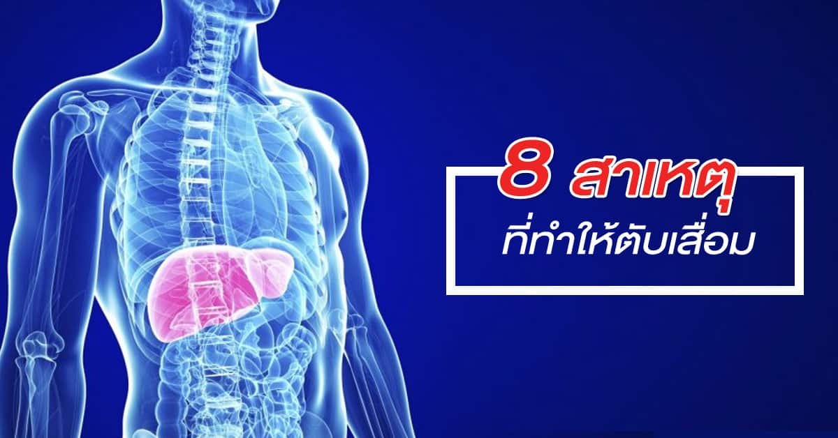 8 สาเหตุ ที่ทำให้ตับเสื่อม 8 สาเหตุ ที่ทำให้ตับเสื่อม