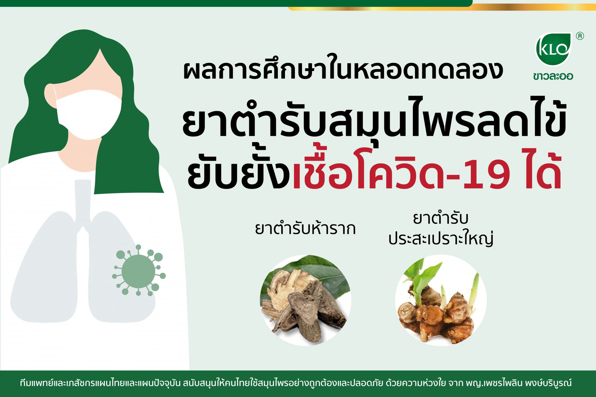 results of in vitro studies herbal medicine to reduce fever Can stop the spread of COVID-19 results of in vitro studies herbal medicine to reduce fever Can stop the spread of COVID-19