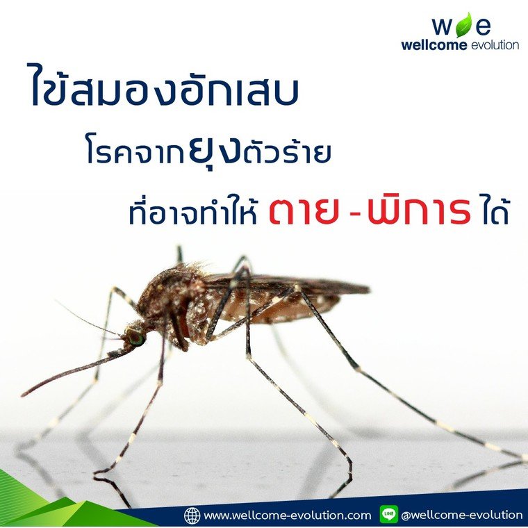 Encephalitis that might lead to death or disability is caused by mosquitos