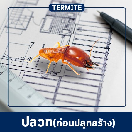 Pest Control & Protection Services (pre-construction)