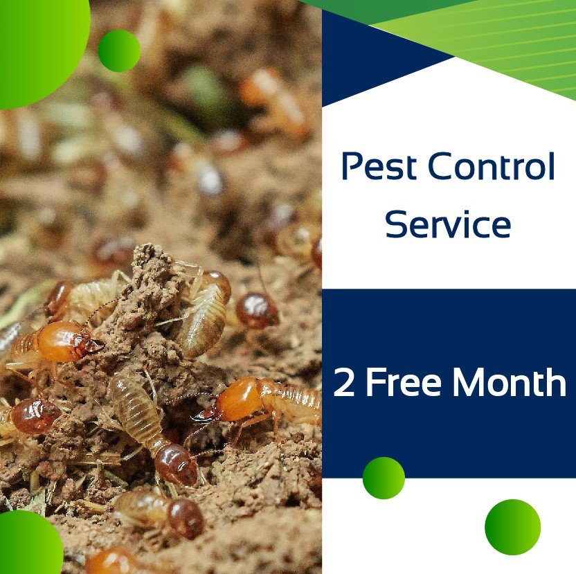 Pest Control Service  2 Free Month