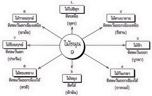 วิธีการตอกไม้มงคล 9 อย่าง วิธีการตอกไม้มงคล 9 อย่าง