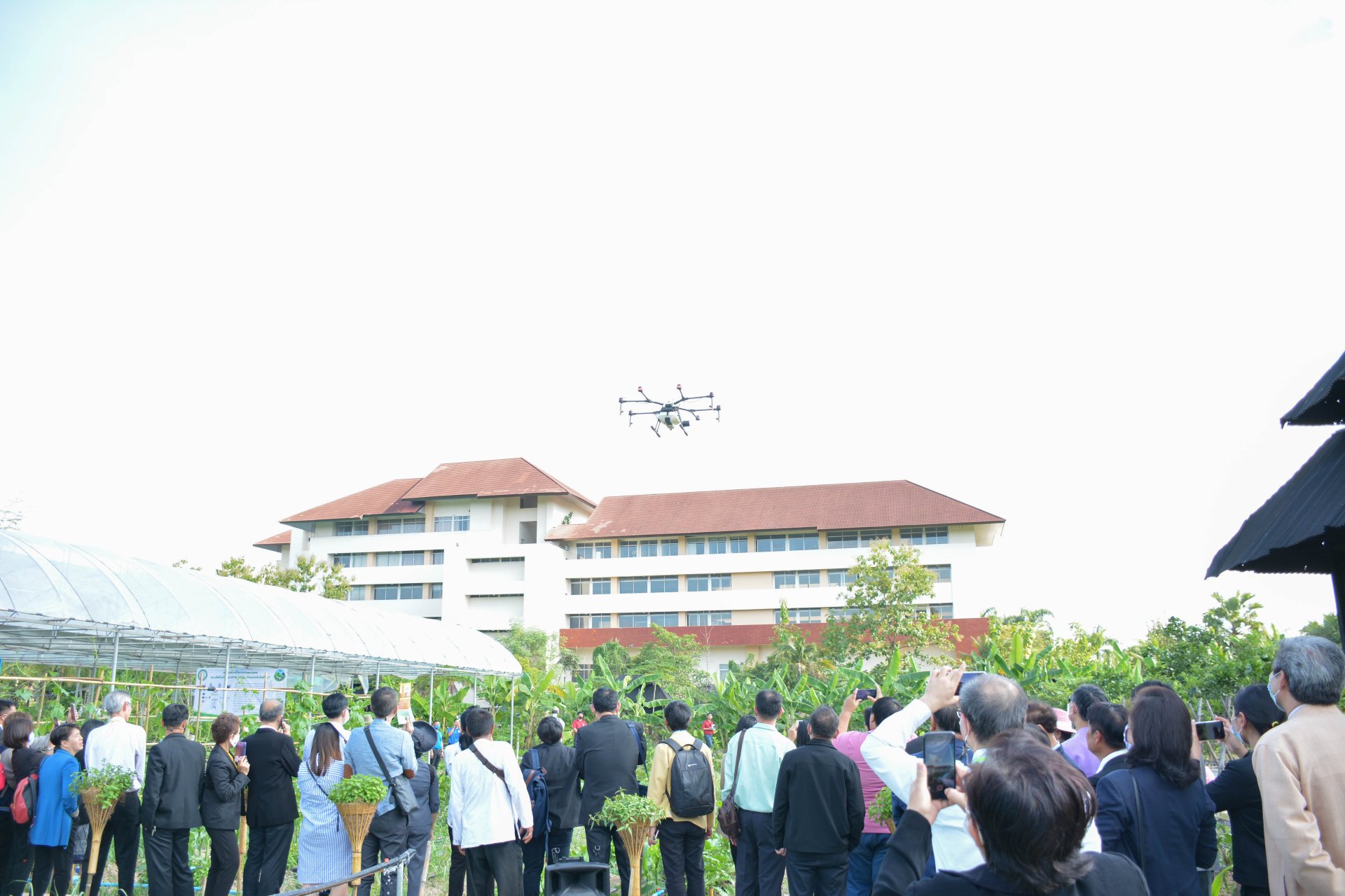 เกษตรกรรมสมัยใหม่ (Modern Agriculture) เกษตรกรรมสมัยใหม่ (Modern Agriculture)