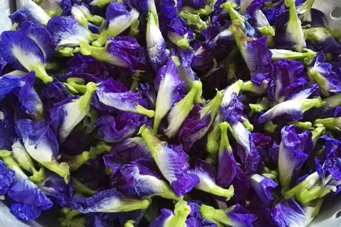 อัญชันอินทรีย์ อัญชันอินทรีย์