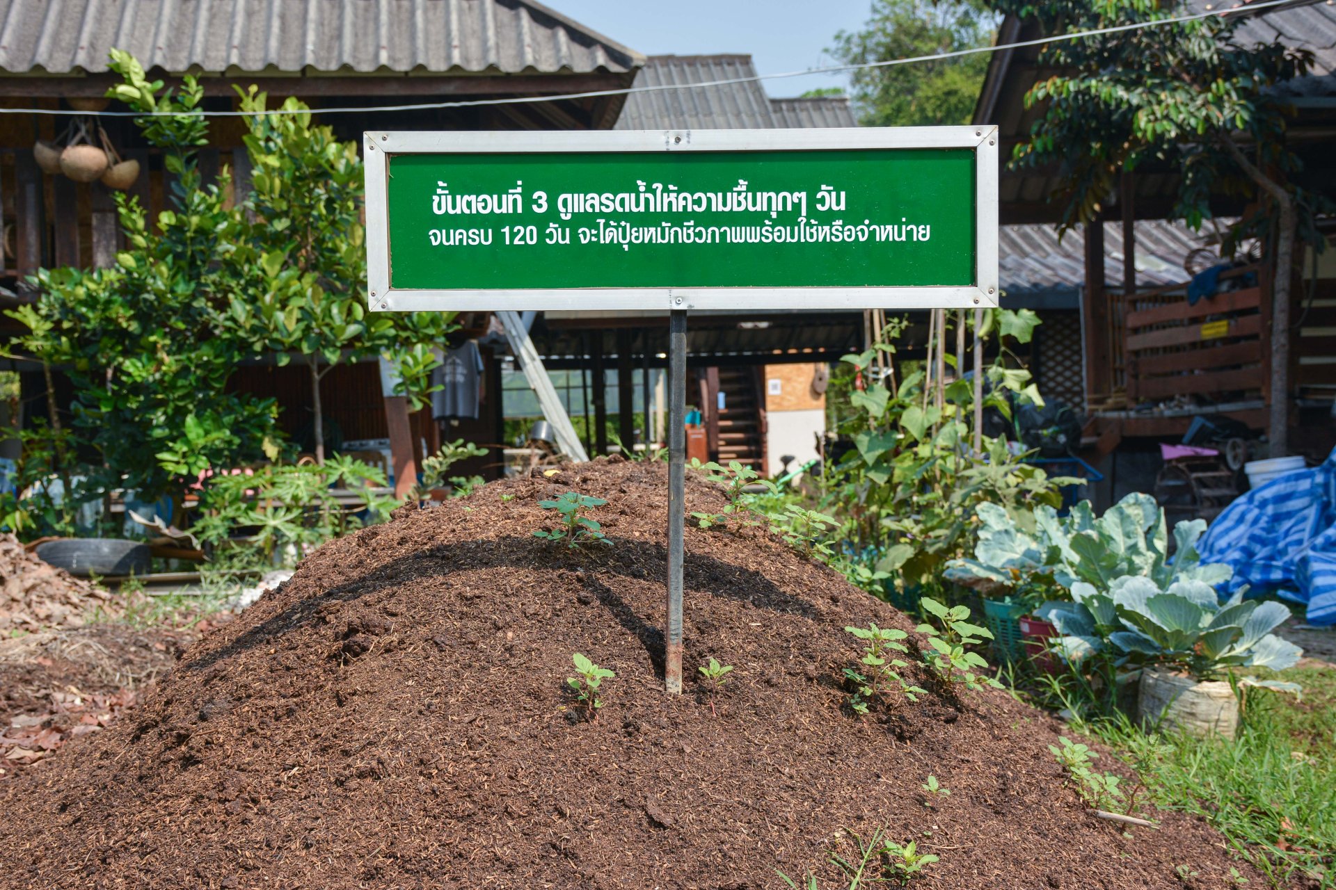 ปุ๋ยหมักและปุ๋ยน้ำชีวภาพ ปุ๋ยหมักและปุ๋ยน้ำชีวภาพ