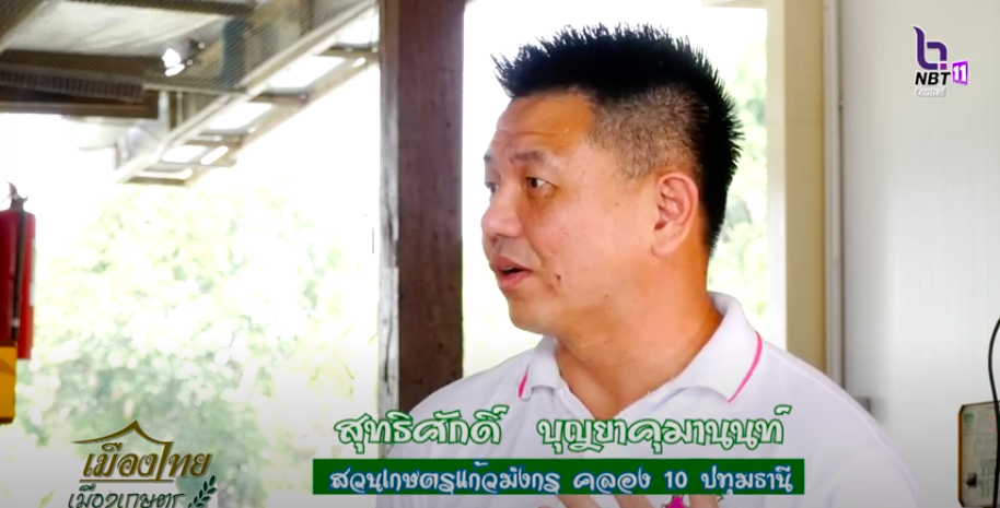 ออกรายการเมืองไทย เมืองเกษตร สวนเกษตรแก้วมังกร รังสิตคลอง 10 ออกรายการเมืองไทย เมืองเกษตร สวนเกษตรแก้วมังกร รังสิตคลอง 10