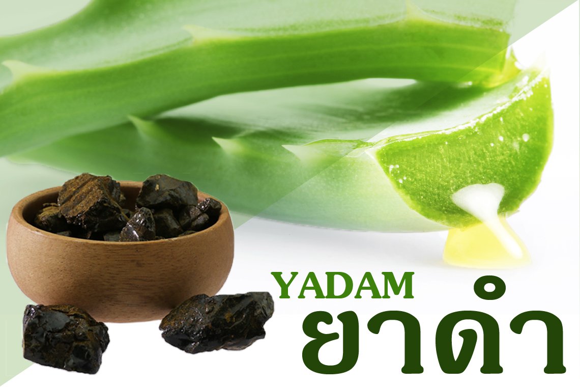 ยาดำ คือ อะไร? ยาดำ คือ อะไร?