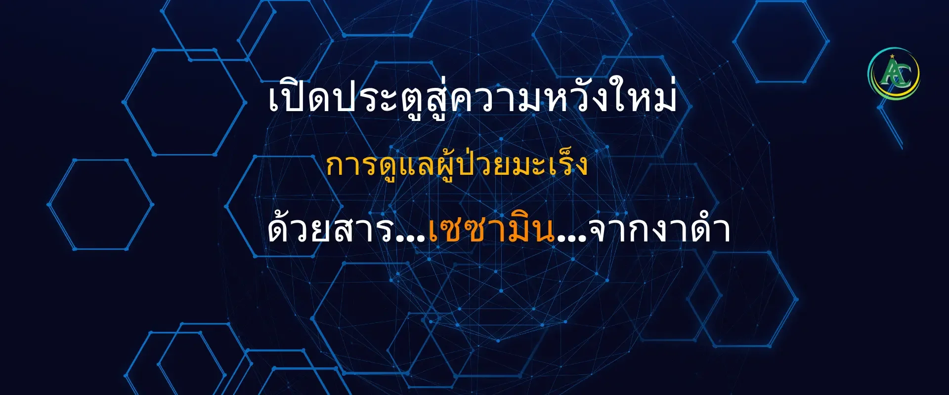 ปกสไลด์