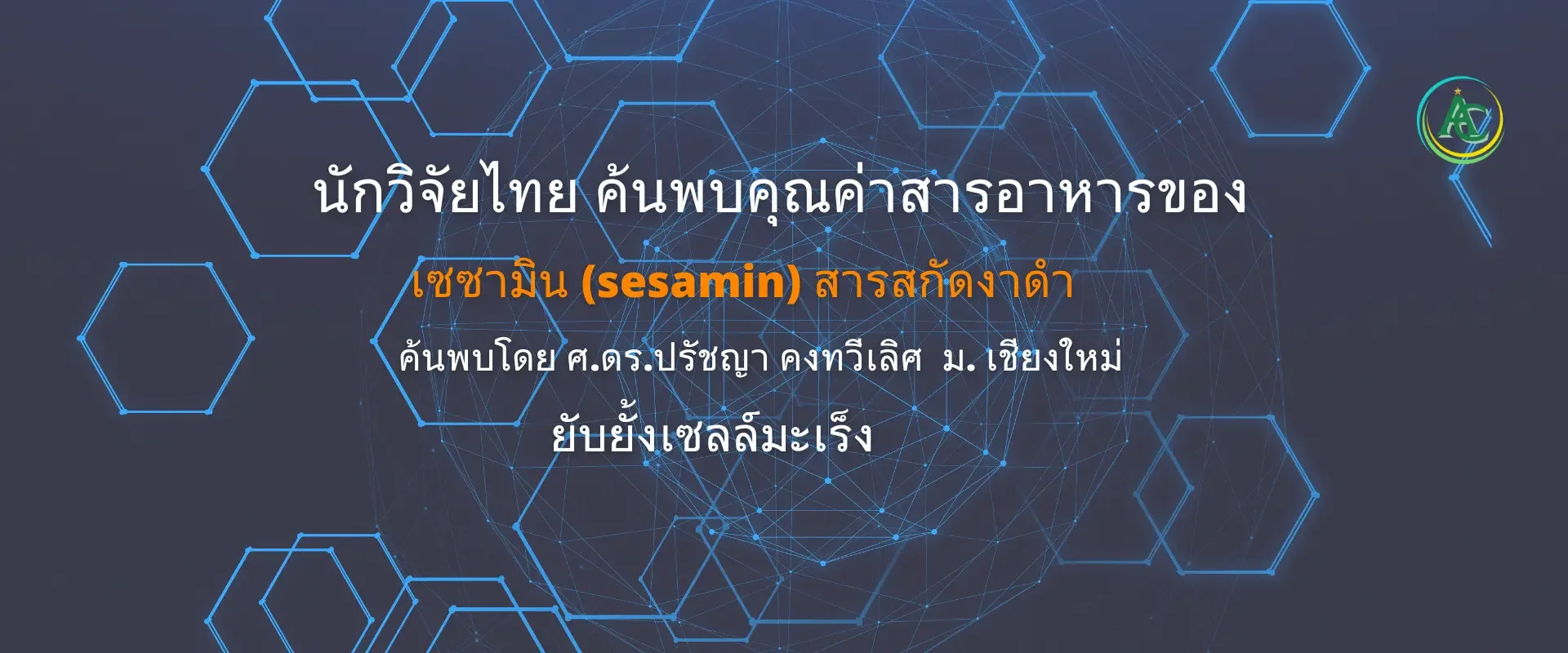 ปกสไลด์