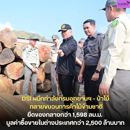 DSI ผนึกกำลังกรมอุทยานฯ - ป่าไม้ ทลายขบวนการค้าไม้ข้ามชาติ ยึดของกลางกว่า 1,598 ลบ.ม. มูลค่าซื้อขายในต่างประเทศกว่า 2,500 ล้านบาท