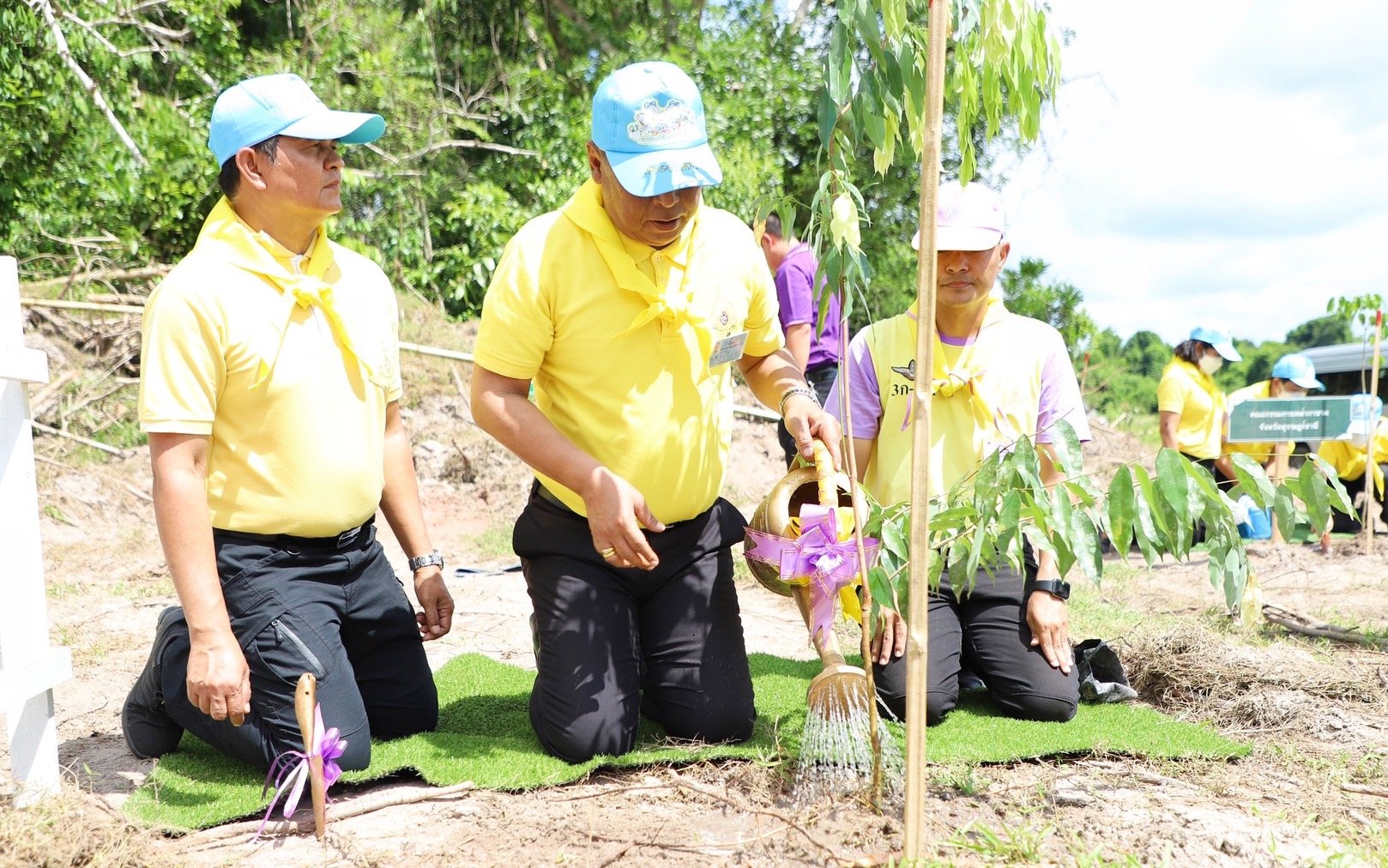 จัดกิจกรรมจิตอาสาพัฒนาปลูกป่าเฉลิมพระเกียรติ สมเด็จพระนางเจ้าพระบรมราชินี ที่สุราษฎร์ธานี