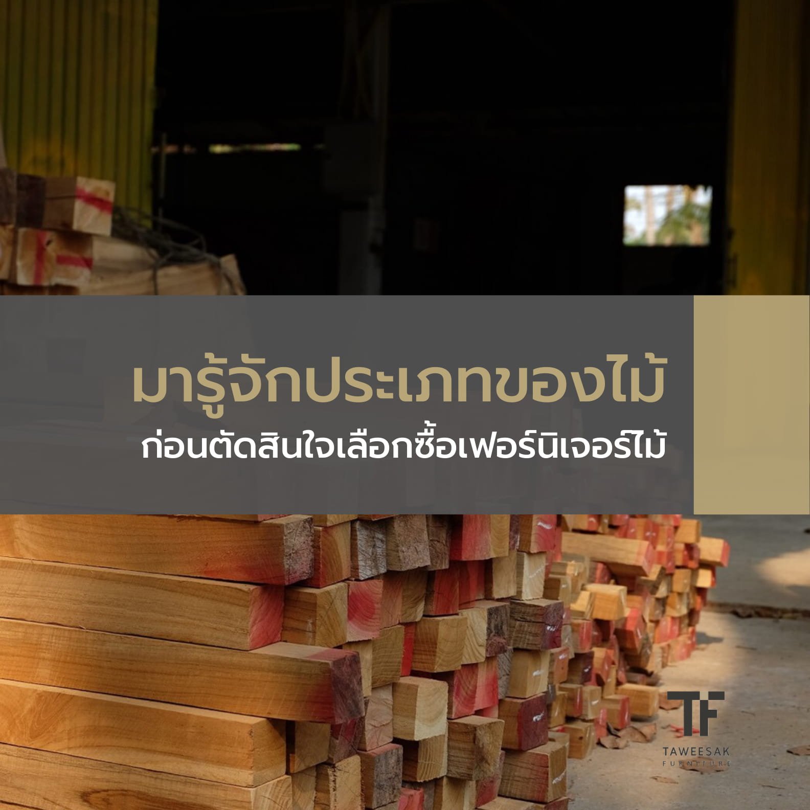 มารู้จักประเภทของไม้ ก่อนตัดสินใจเลือกซื้อเฟอร์นิเจอร์ไม้ มารู้จักประเภทของไม้ ก่อนตัดสินใจเลือกซื้อเฟอร์นิเจอร์ไม้