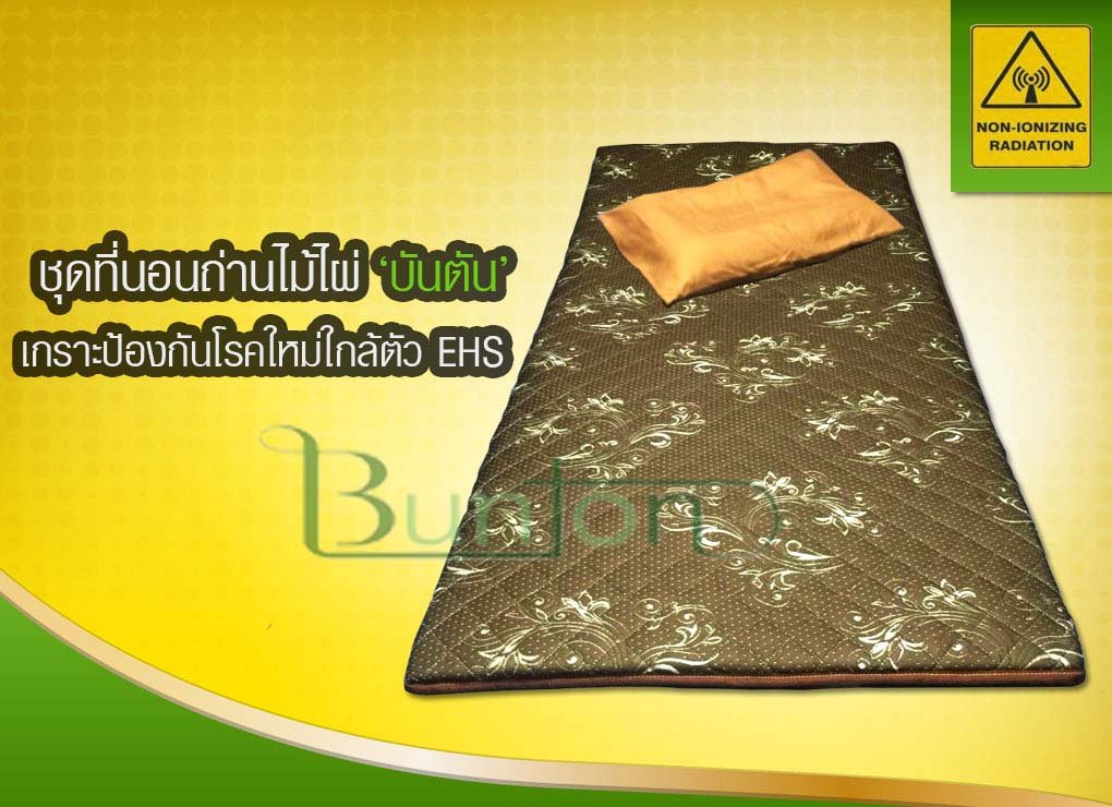 ที่นอนถ่านไม้ไผ่ “บันตัน”   เกราะป้องกันโรคใหม่ใกล้ตัว EHS ที่นอนถ่านไม้ไผ่ “บันตัน”   เกราะป้องกันโรคใหม่ใกล้ตัว EHS