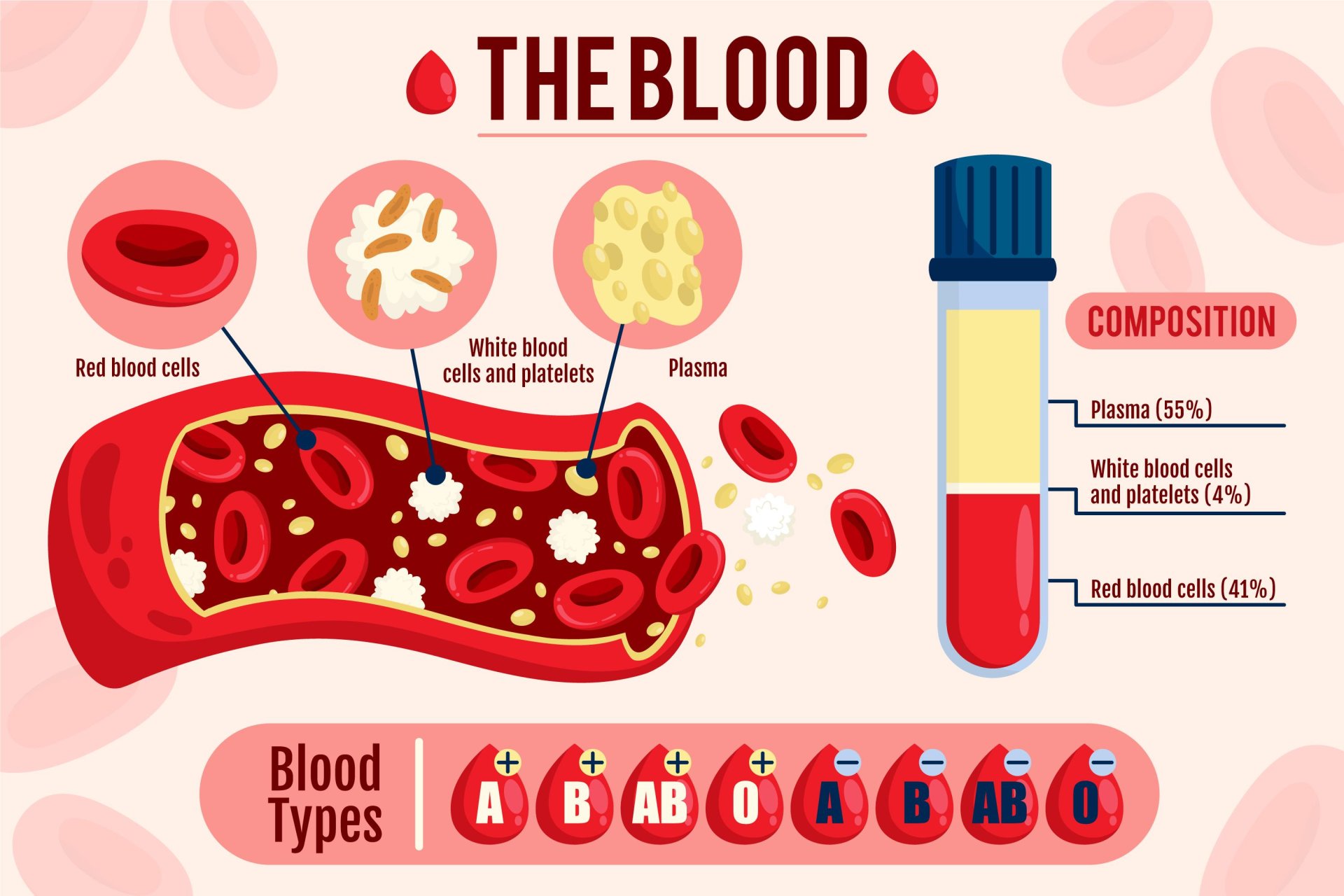 Hemoglobin Hemoglobin