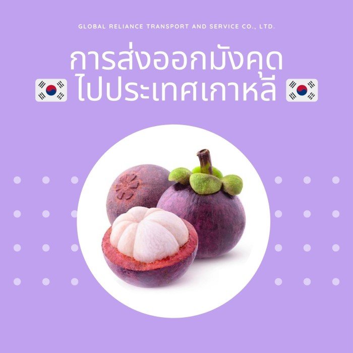 ส่งออกมังคุดไปเกาหลี ส่งออกมังคุดไปเกาหลี