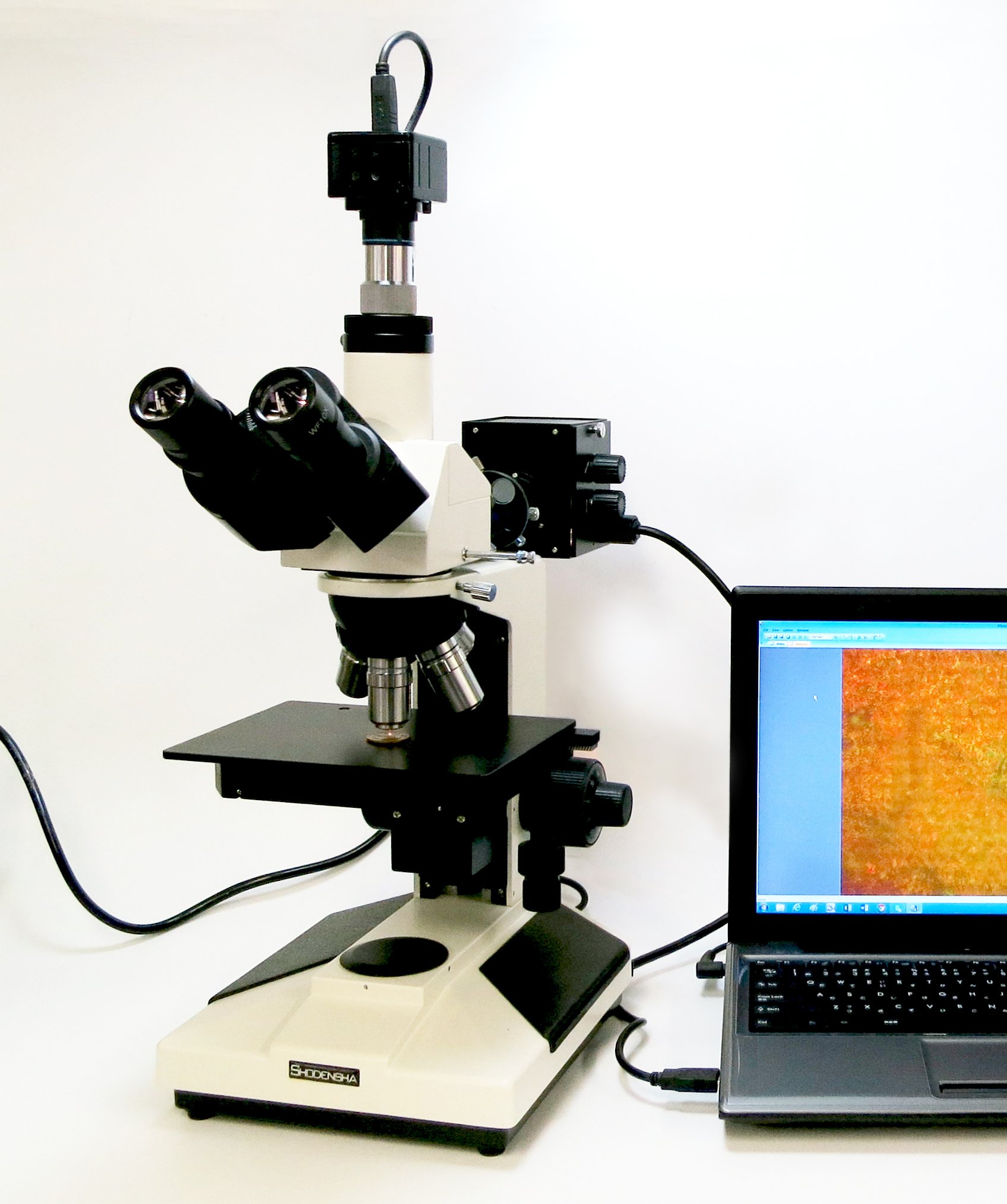 Observation of metal structure