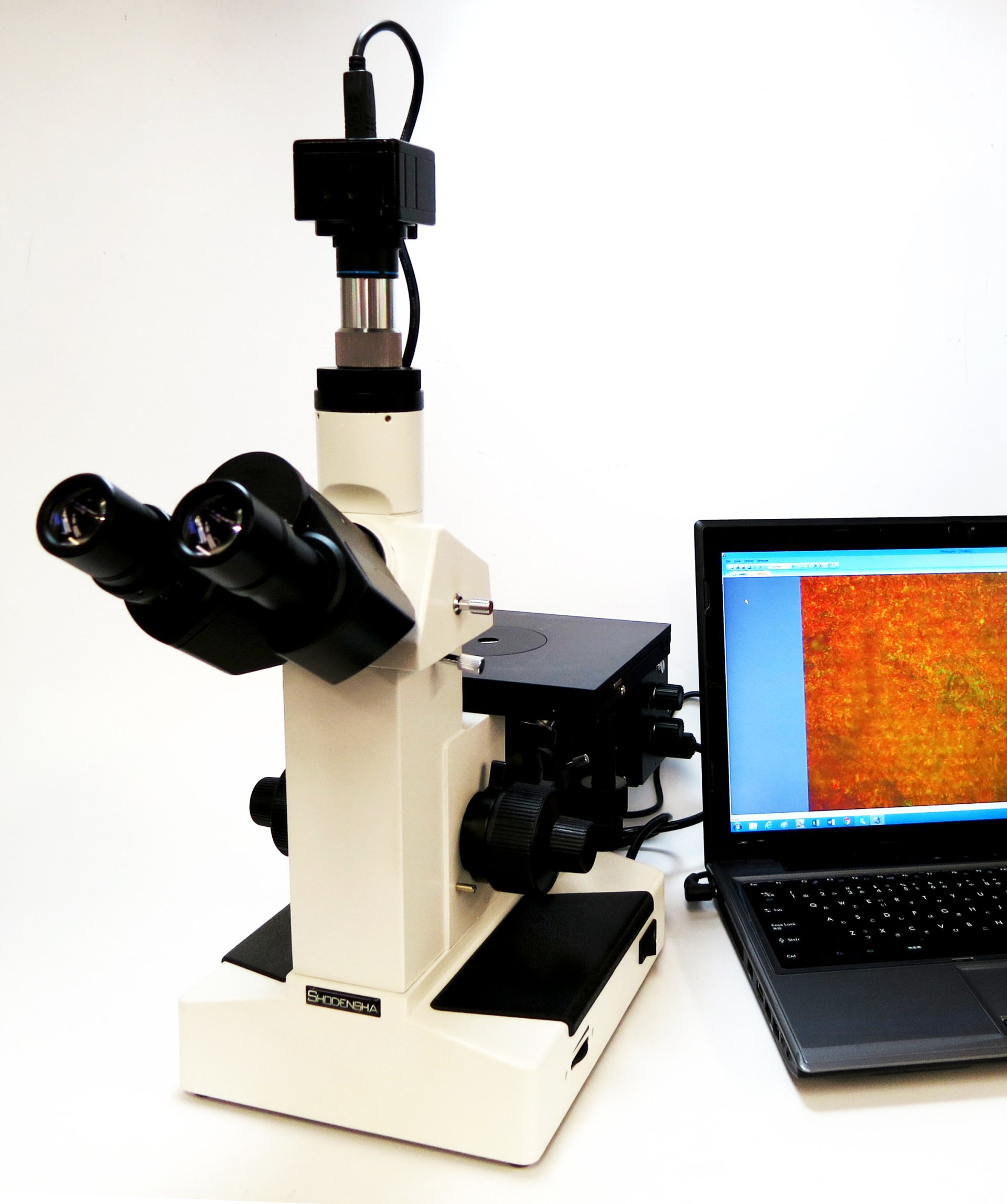 Pre-processing for metallographic observation and measurement