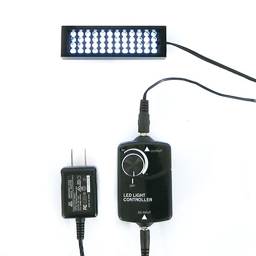 Bl Led Light LED-BL