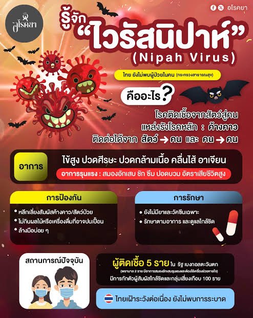 ไวรัสนิปาห์ โรคระบาดในอินเดีย
