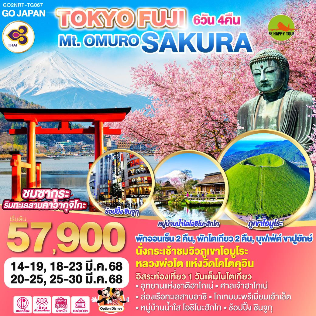 TOKYO FUJI Mt.OMURO SAKURA 6วัน 4คืน โดยสายการบิน THAI AIRWAYS (TG) (MAR25)