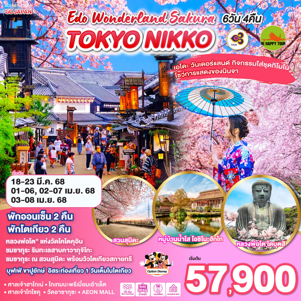 TOKYO NIKKO EDO WONDERLAND SAKURA 6วัน 4คืน โดยสายการบิน THAI AIRWAYS (TG) (MAR-APR25)