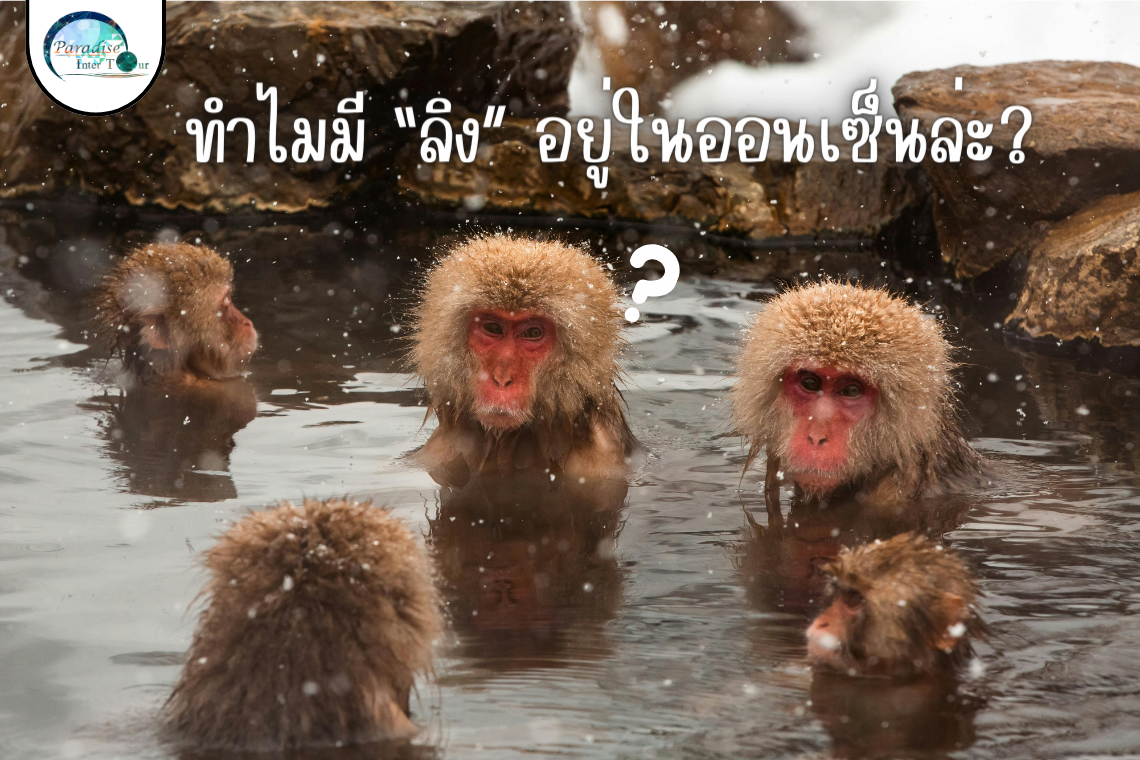 ทำไมถึงมี"ลิงที่แช่ออนเซ็น"อยู่ล่ะ? ความมหัศจรรย์ของธรรมชาติที่ต้องไปสัมผัส! ทำไมถึงมี"ลิงที่แช่ออนเซ็น"อยู่ล่ะ? ความมหัศจรรย์ของธรรมชาติที่ต้องไปสัมผัส!