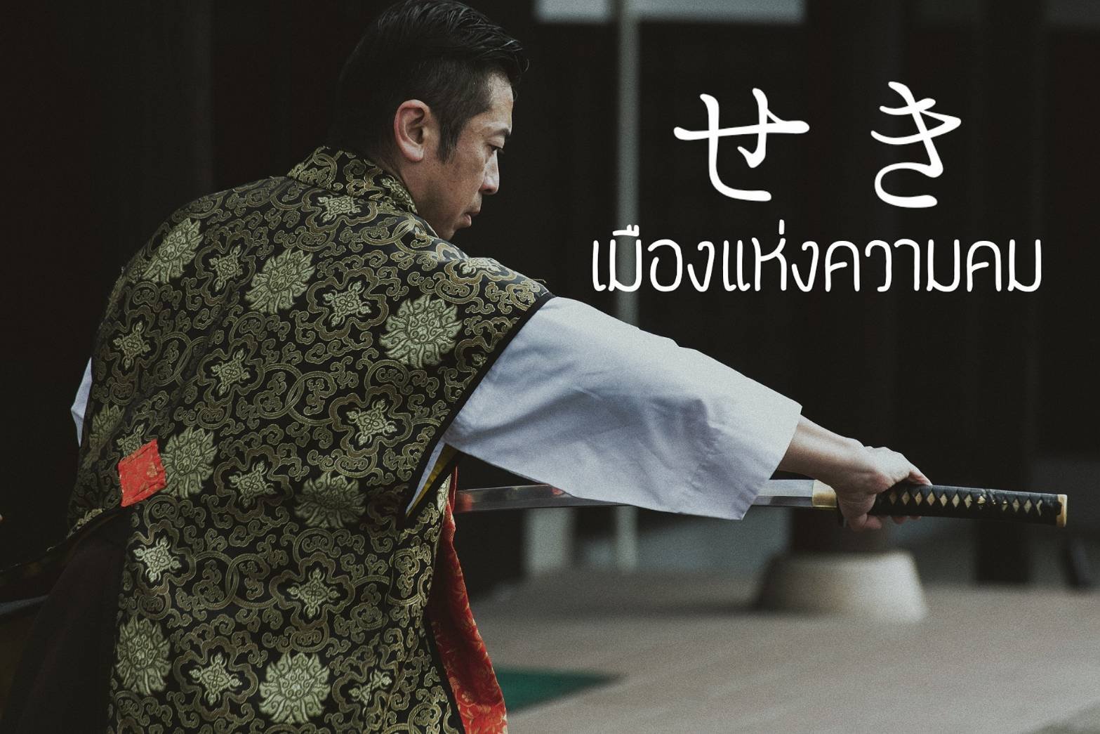 เซกิ เมืองแห่งความคม เซกิ เมืองแห่งความคม
