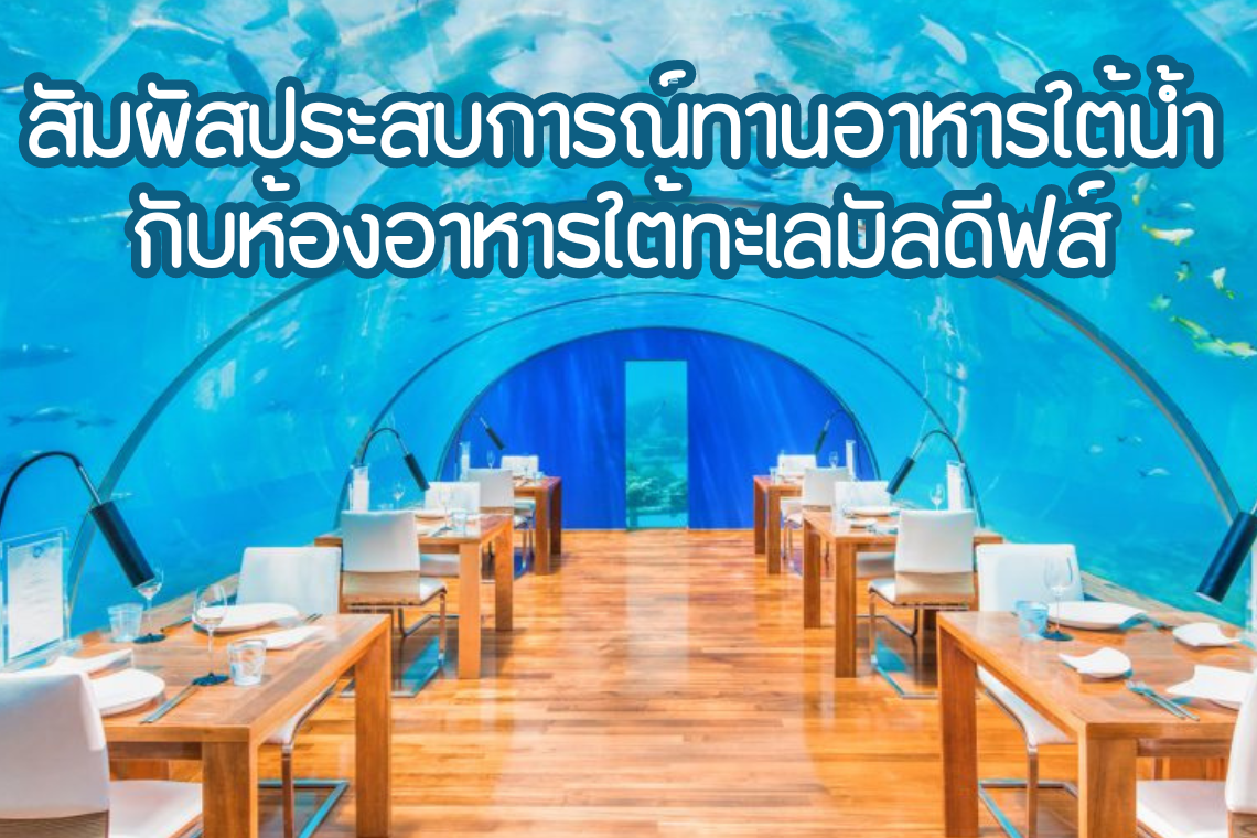 ประสบการณ์ใหม่ ทานอาหารที่ห้องอาหารใต้ทะเลมัลดีฟส์ 