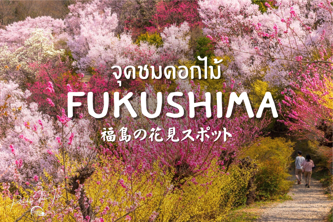 จุดชมดอกไม้ยอดนิยมในเมืองฟุกุชิมะ ชมดอกไม้ตามฤดูกาลต่าง ๆ