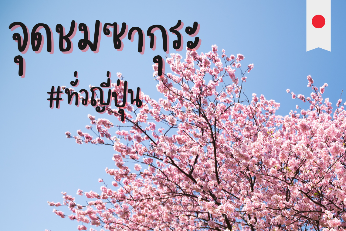 จุดชมซากุระแนะนำทั่วญี่ปุ่น ฉบับปี 2024 จุดชมซากุระแนะนำทั่วญี่ปุ่น ฉบับปี 2024
