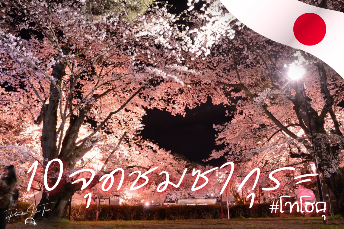 10 จุดชมซากุระ โทโฮคุ วิวดีที่คนยังไม่ค่อยรู้จัก ถูกใจแน่นอน