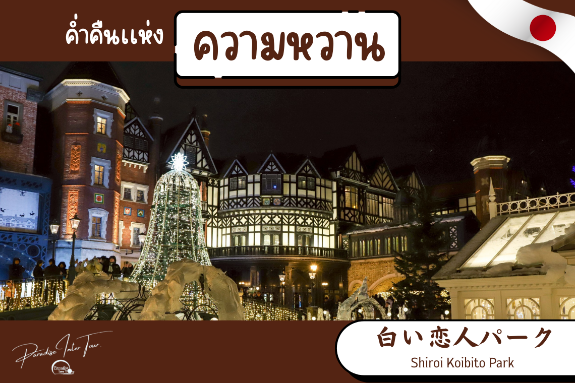 โรงงานช็อคโกเเลต Shiroi Koibito Park ในยามค่ำคืน 