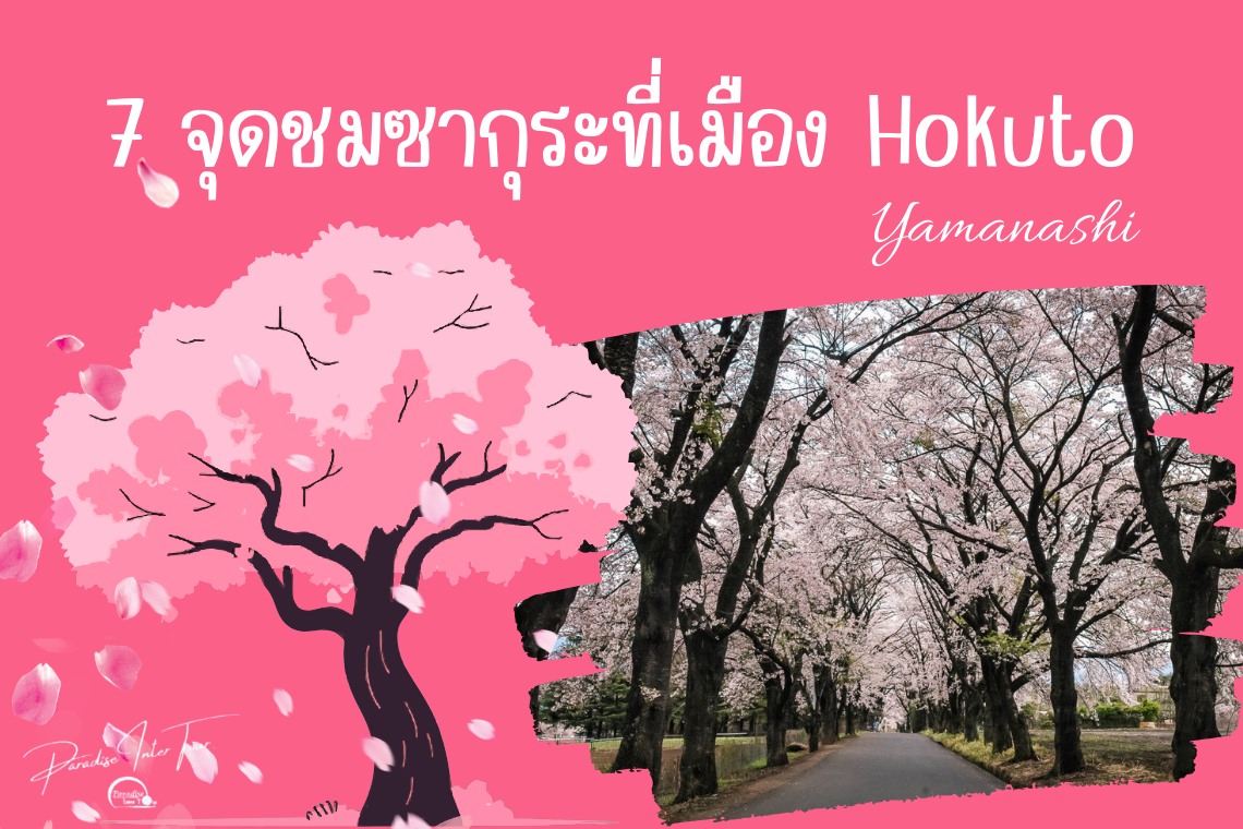 รวม 7 จุดชมซากุระสวยที่สุดในเมือง Hokuto จังหวัด Yamanashi