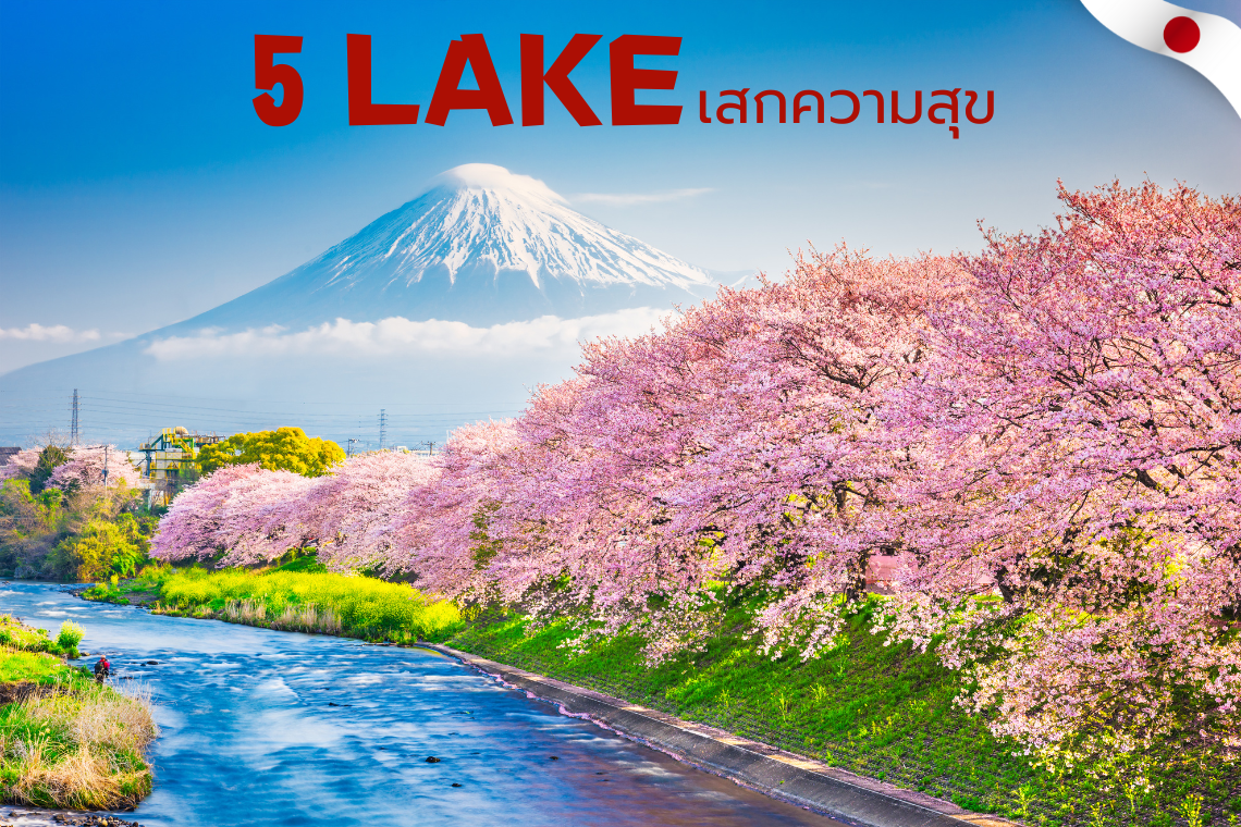 แจกฟรี! แพลนเที่ยวจุดชมซากุระรอบทะเลสาบทั้ง 5 กับวิวฟูจิสุดอลังการ แจกฟรี! แพลนเที่ยวจุดชมซากุระรอบทะเลสาบทั้ง 5 กับวิวฟูจิสุดอลังการ