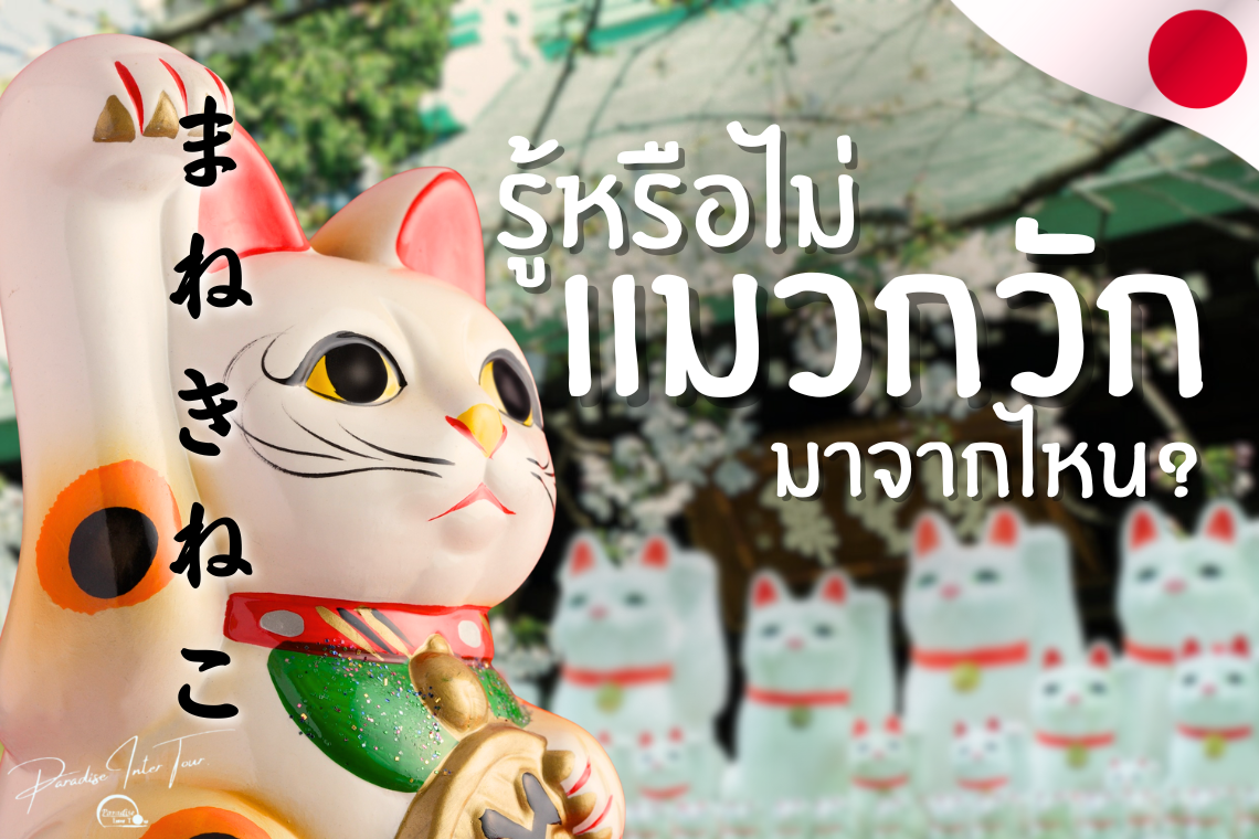 รู้หรือไม่แมวกวักมาจากไหน เรื่องเล่าจากวัดแห่งแมวกวักนับร้อย