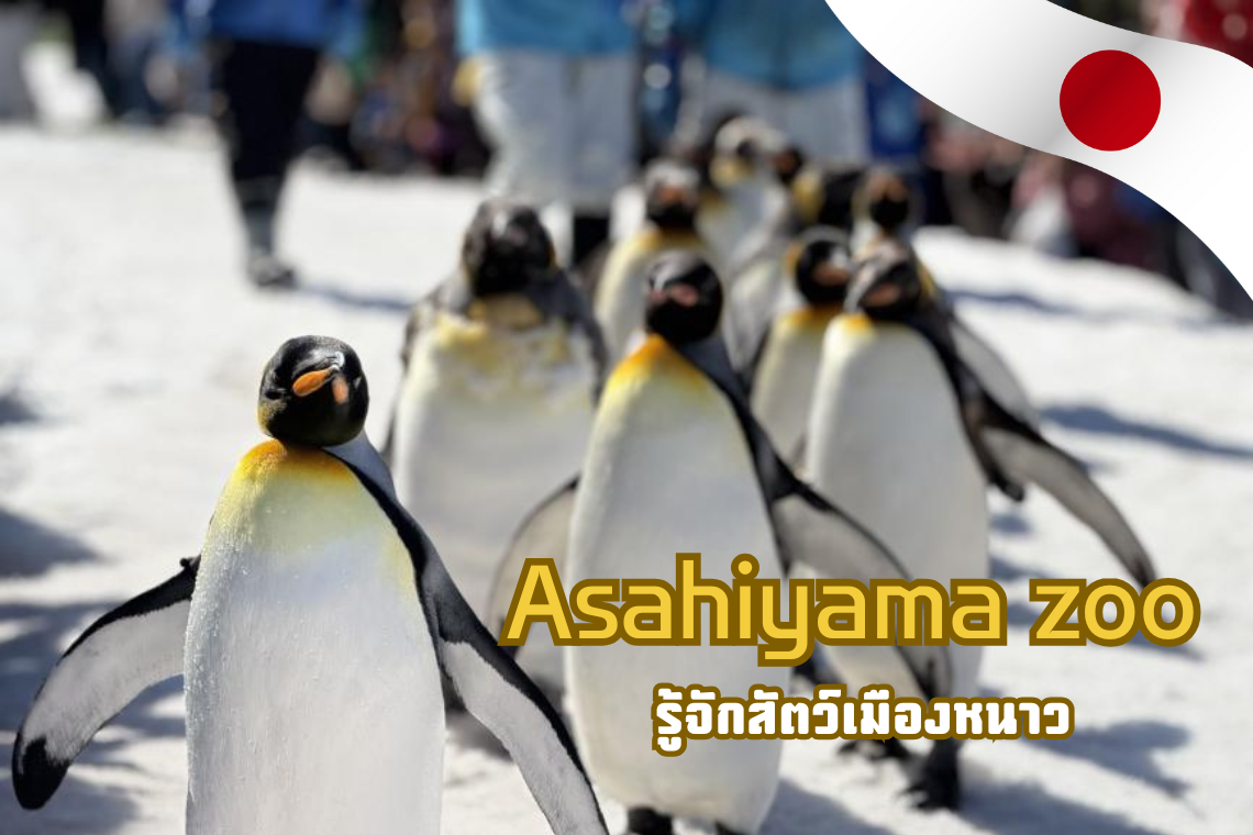 สัตว์แต่ละชนิดในสวนสัตว์อาซาฮิยามะ (Asahiyama Zoo)