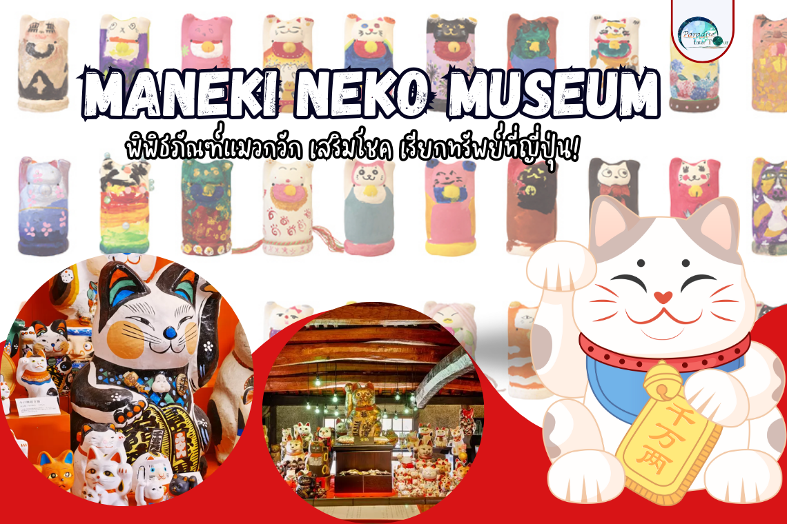 Maneki Neko Museum พิพิธภัณฑ์แมวกวัก เสริมโชค เรียกทรัพย์ที่ญี่ปุ่น