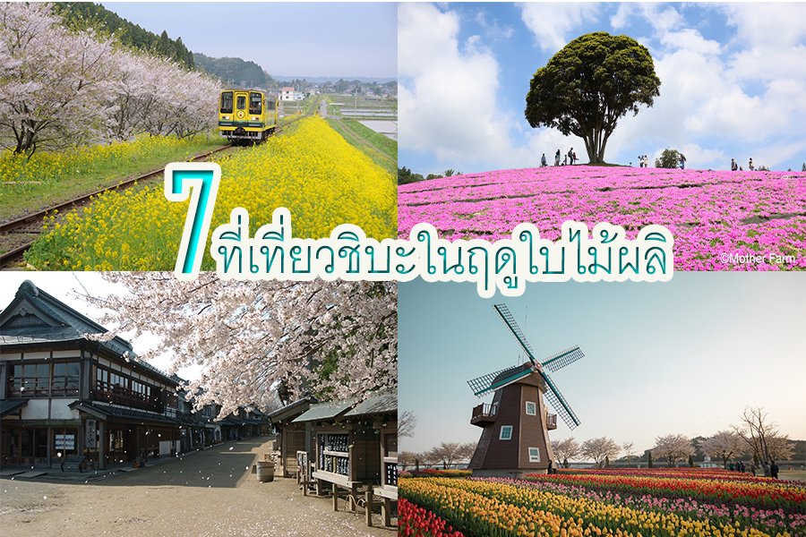 7ที่เที่ยวชิบะในฤดูใบไม้ผลิ 7ที่เที่ยวชิบะในฤดูใบไม้ผลิ