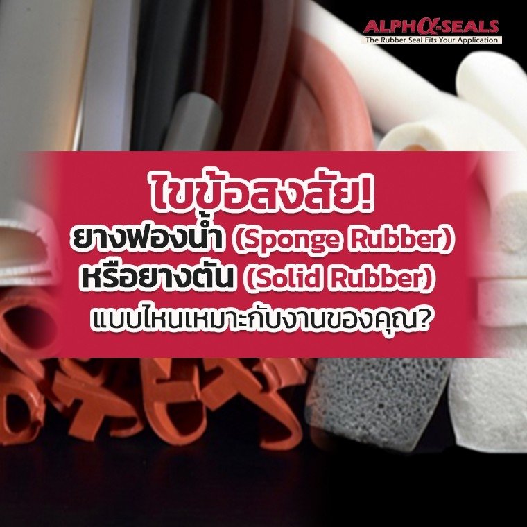 ยางฟองน้ำ (Sponge Rubber) หรือ ยางตัน (Solid Rubber) เหมาะกับคุณ? ยางฟองน้ำ (Sponge Rubber) หรือ ยางตัน (Solid Rubber) เหมาะกับคุณ?