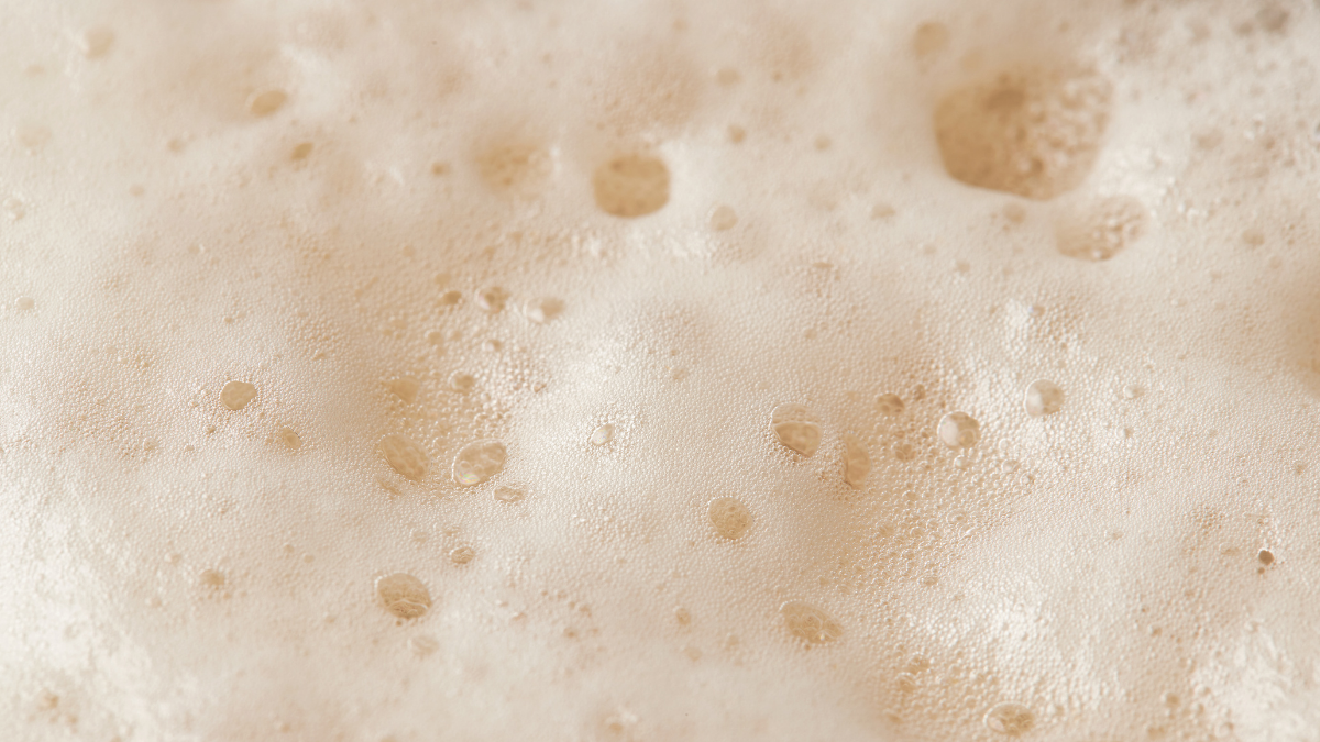 Beer Foam Aroma