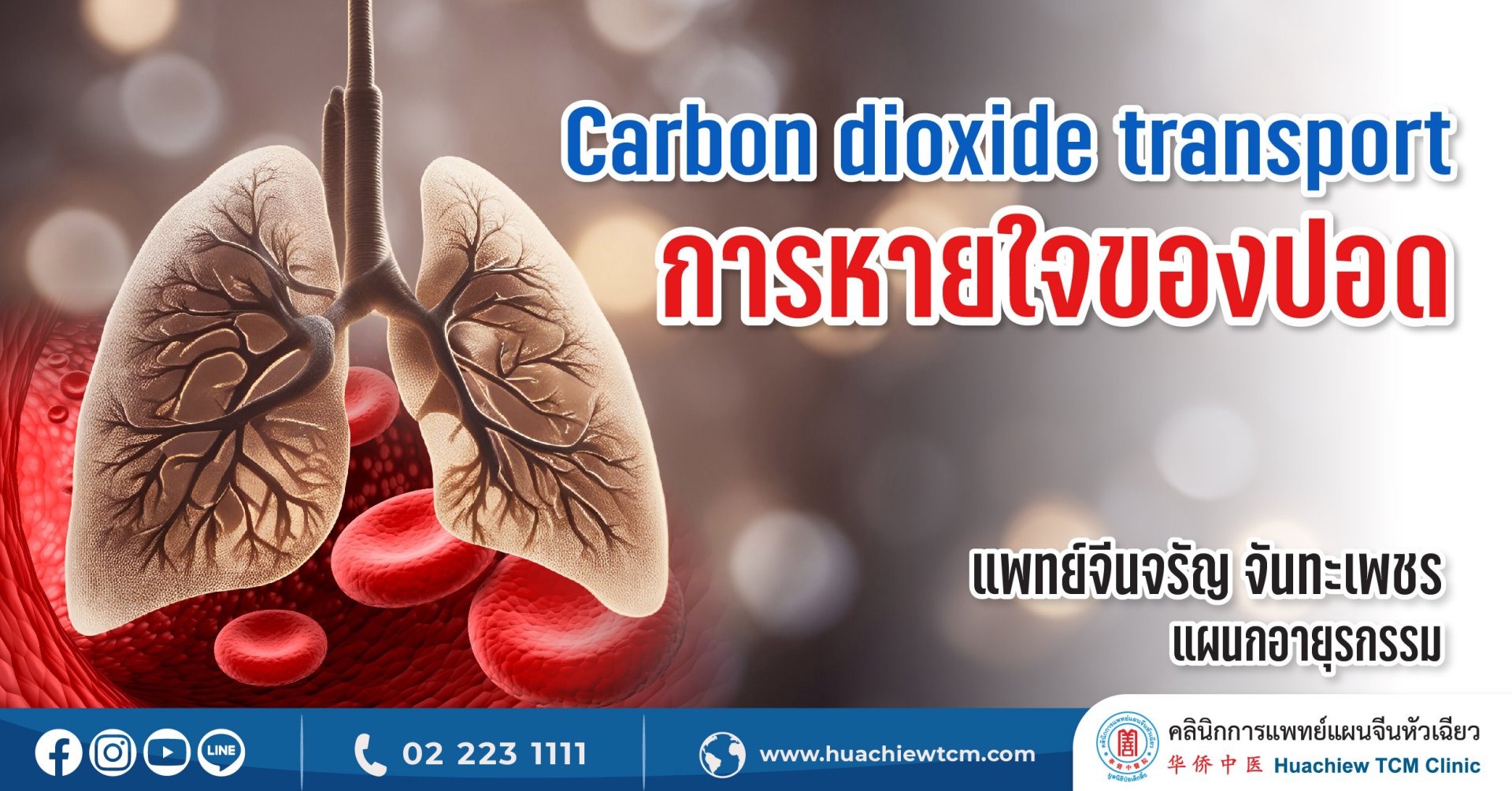 Carbon dioxide transport การหายใจของปอด Carbon dioxide transport การหายใจของปอด