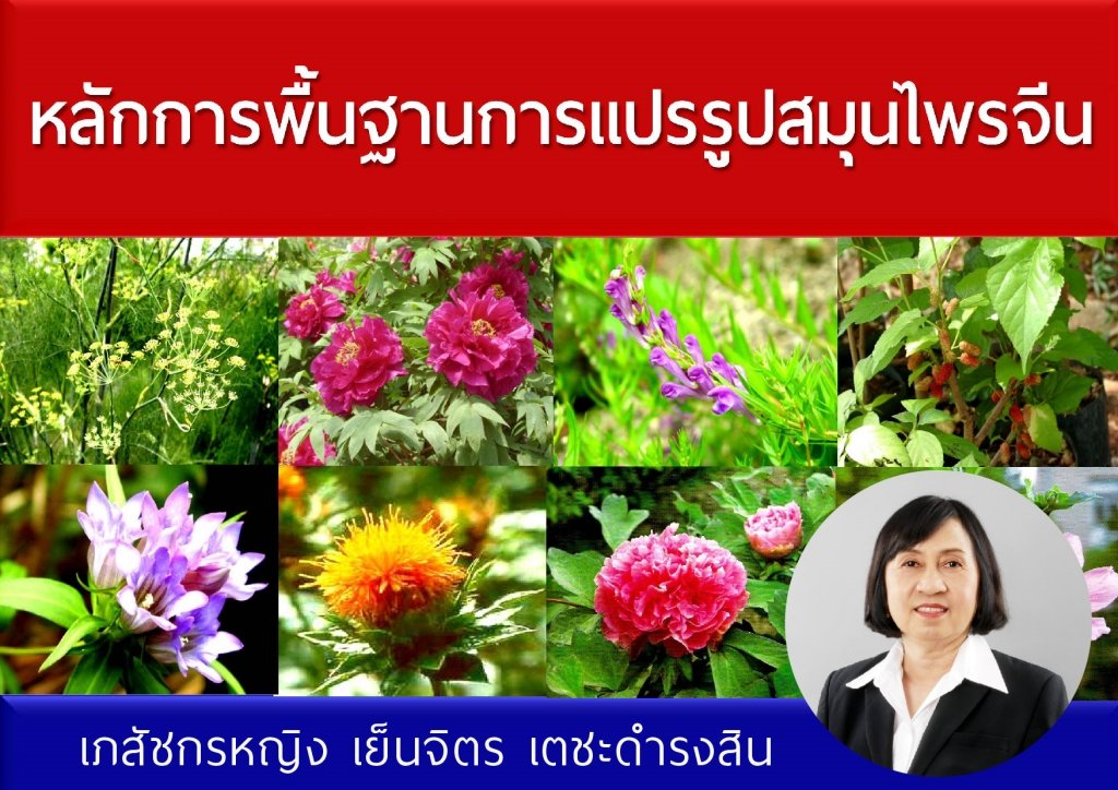 หลักการพื้นฐานการแปรรูปสมุนไพรจีน หลักการพื้นฐานการแปรรูปสมุนไพรจีน